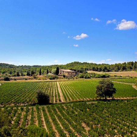 Domaine De Palatz Pension Laure-Minervois Buitenkant foto