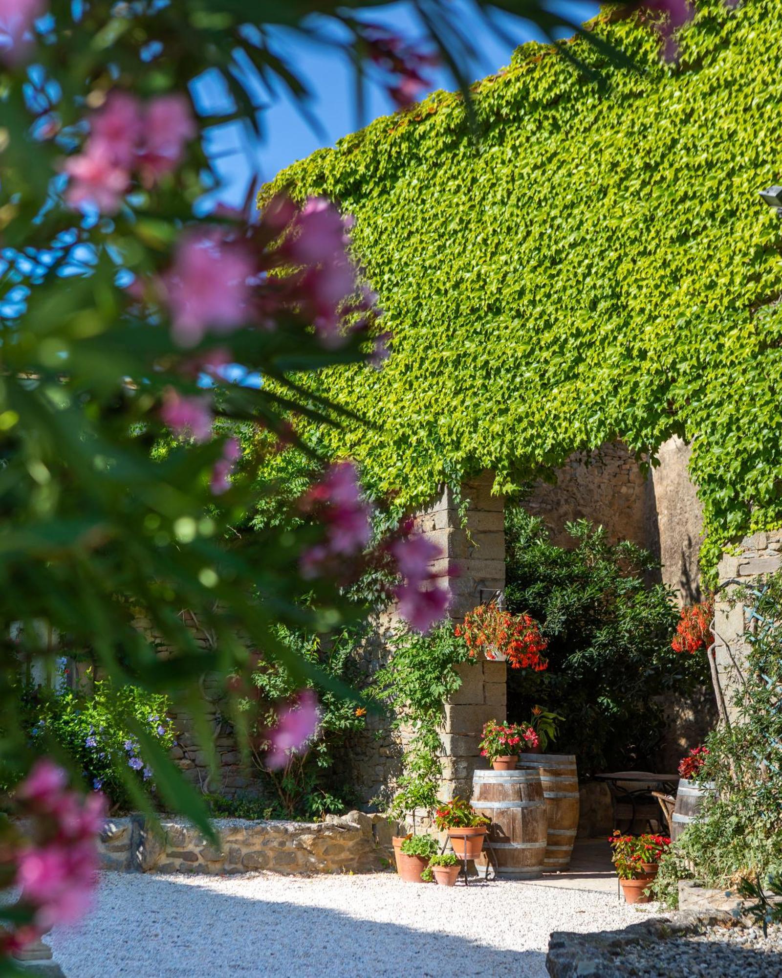 Domaine De Palatz Pension Laure-Minervois Buitenkant foto