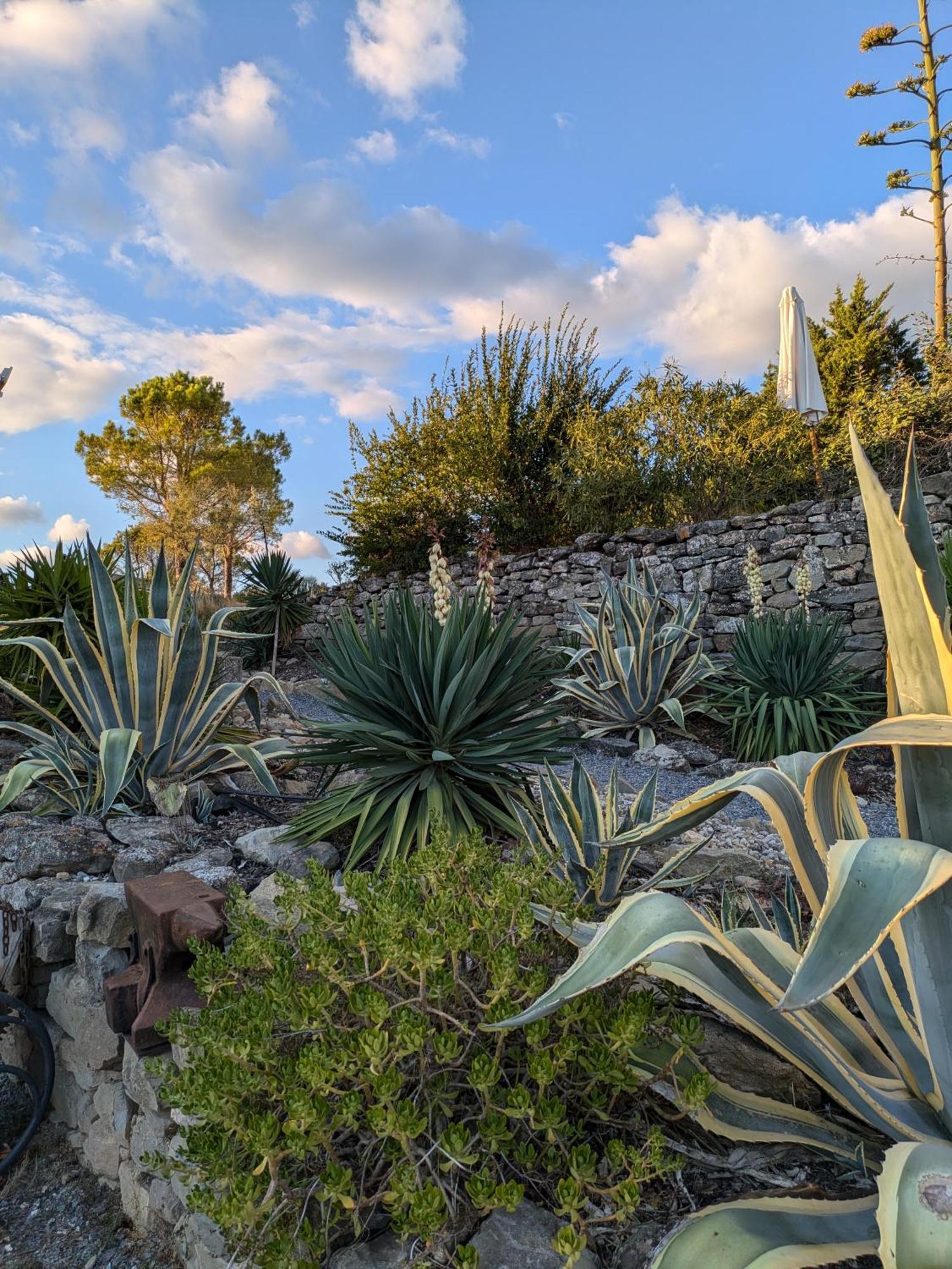 Domaine De Palatz Pension Laure-Minervois Buitenkant foto