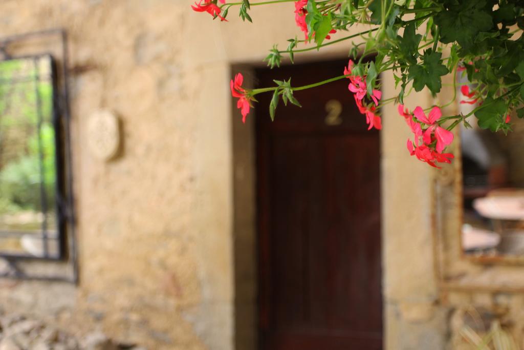 Domaine De Palatz Pension Laure-Minervois Buitenkant foto