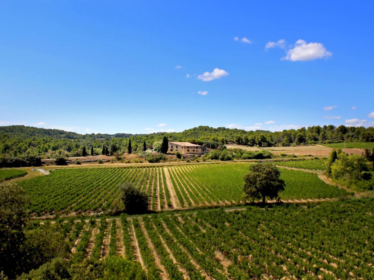 Domaine De Palatz Pension Laure-Minervois Buitenkant foto